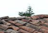 How Home Remodeling Would Boost House Resale Value During Pandemic How Home Remodeling Would Boost House Resale Value During Pandemic