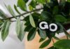 What Does Going Green Mean For Business What Does Going Green Mean For Business