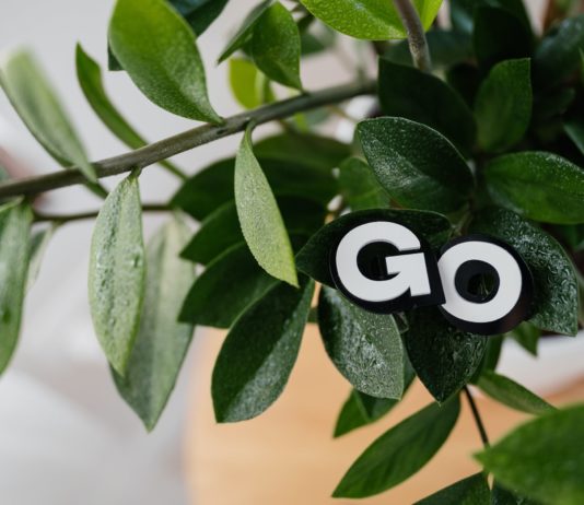 What Does Going Green Mean For Business What Does Going Green Mean For Business